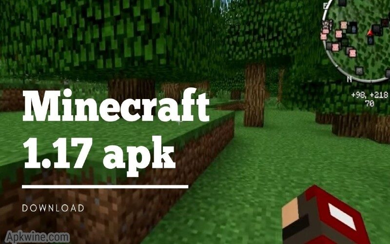 Java edition 1.17 download minecraft Caves &